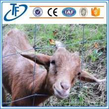 Hot-dipped Galvznied Cattle fence/ Electrol Galvanized field fence/grassland fence